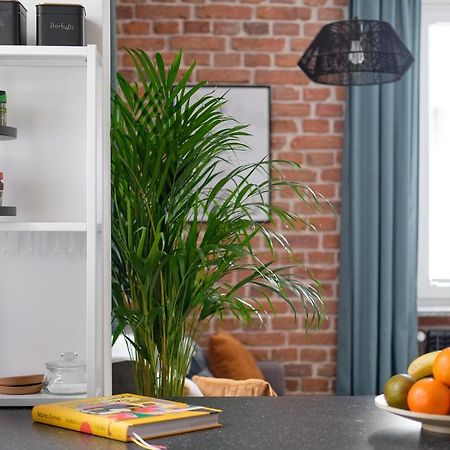 Mikroklimatyczny Apartament Dla 4 Osob - Blisko Szlakow, W Centrum Szklarska Poręba Eksteriør bilde